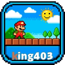 king403
